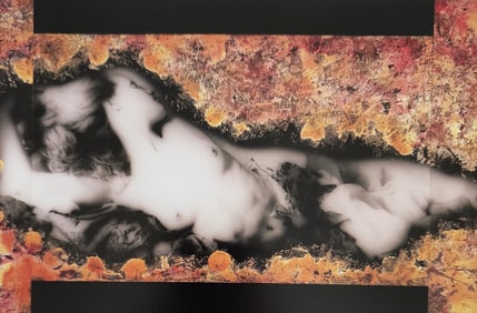 Nippon Geijutsu, Naturaly Beautiful, 1994