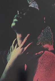 Nippon Geijutsu, Naturaly Beautiful, 1994