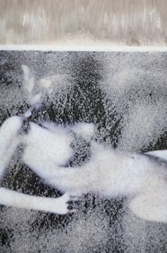 Nippon Geijutsu, Naturaly Beautiful, 1994