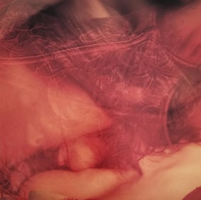 Nippon Geijutsu, Naturaly Beautiful, 1994