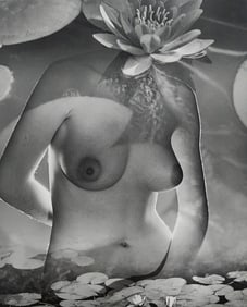 Andre de Dienes - Nude Studies 2005
