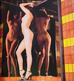 Guido Argentini, Reflections - 2007