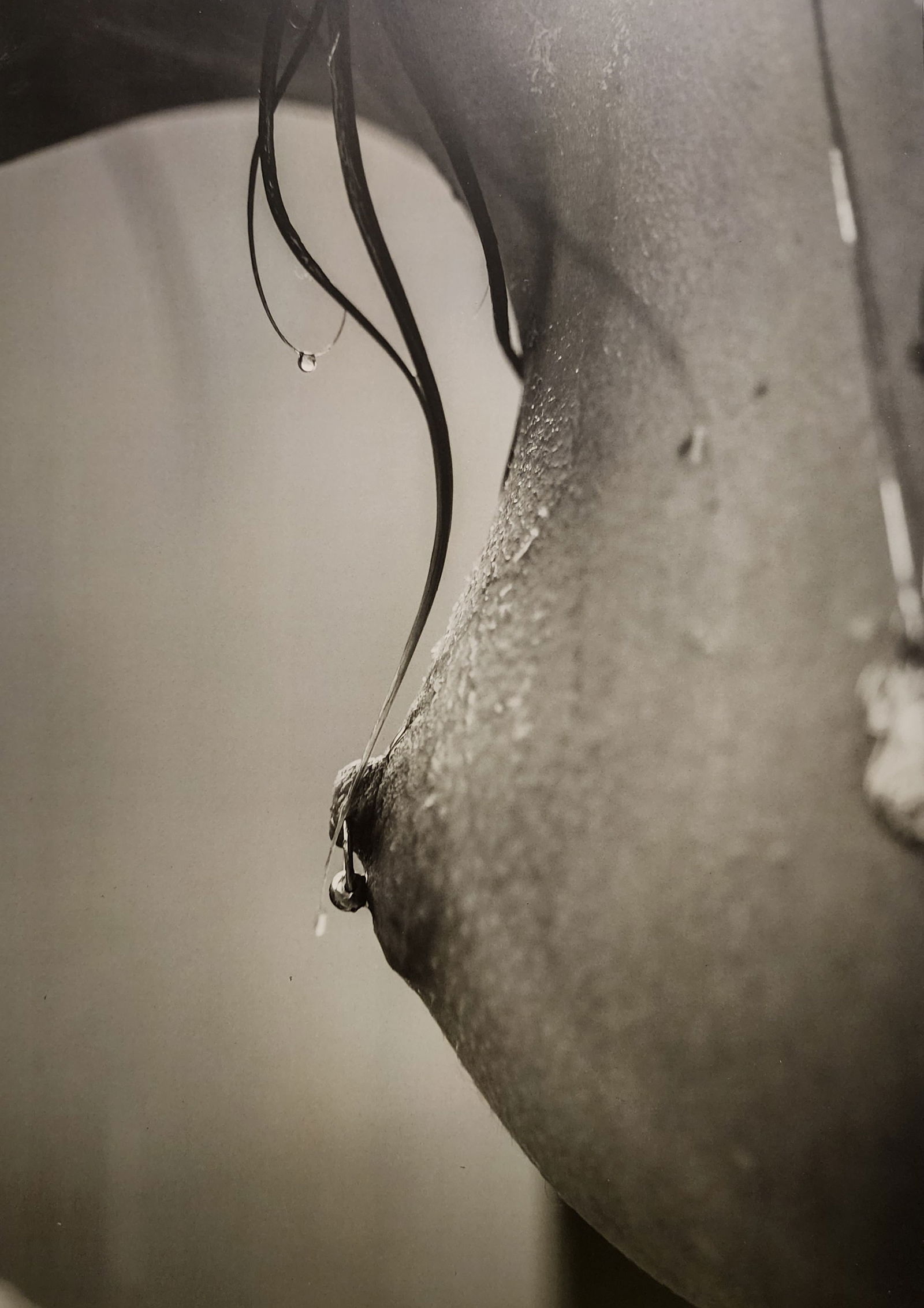 Russell James, Victoria Secret Models, 2014 (1 of 1)