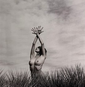 Allen Birnbach, Best nude contemporary, 2019