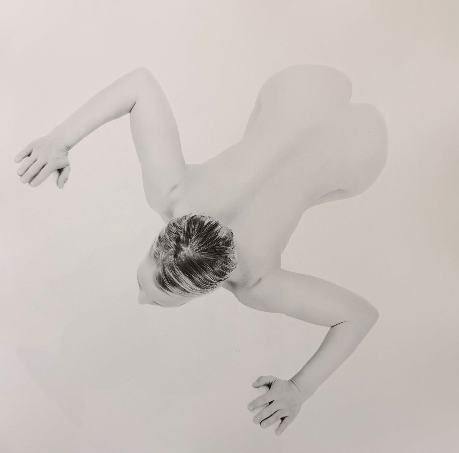 Jonathon Harrington, Flexibility, 2015 (1 of 1)