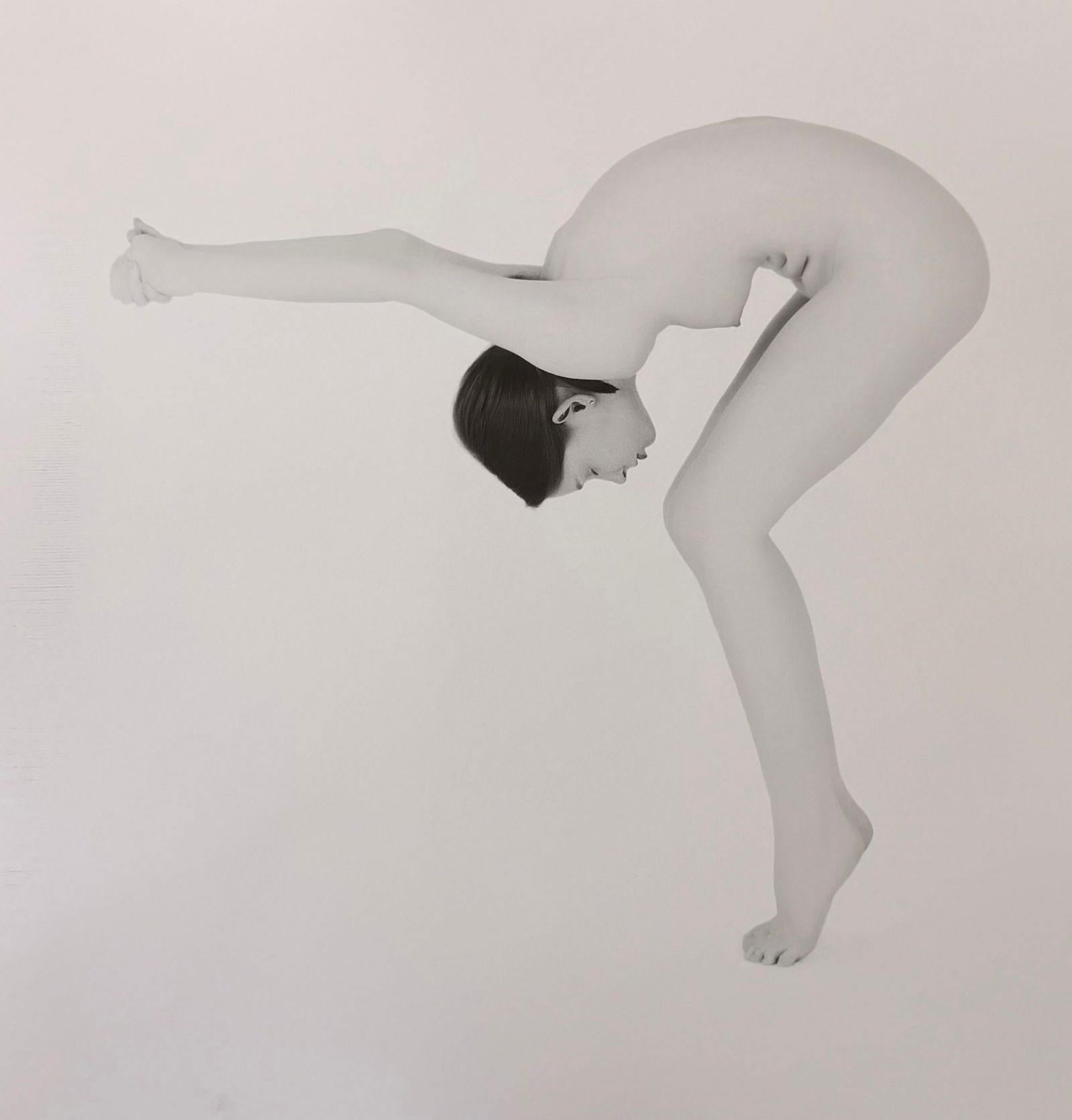 Jonathon Harrington, Flexibility, 2015 (1 of 1)
