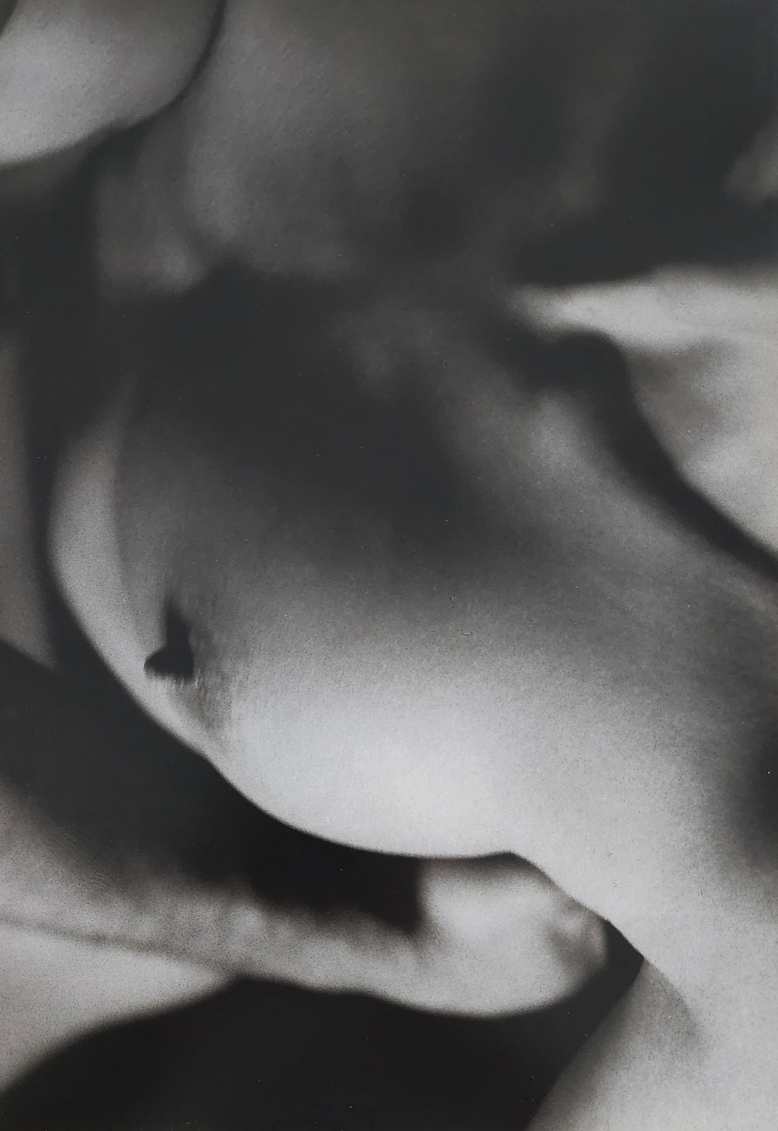 Brono Bisang, Monochrome Nudes, 1999 (1 of 1)