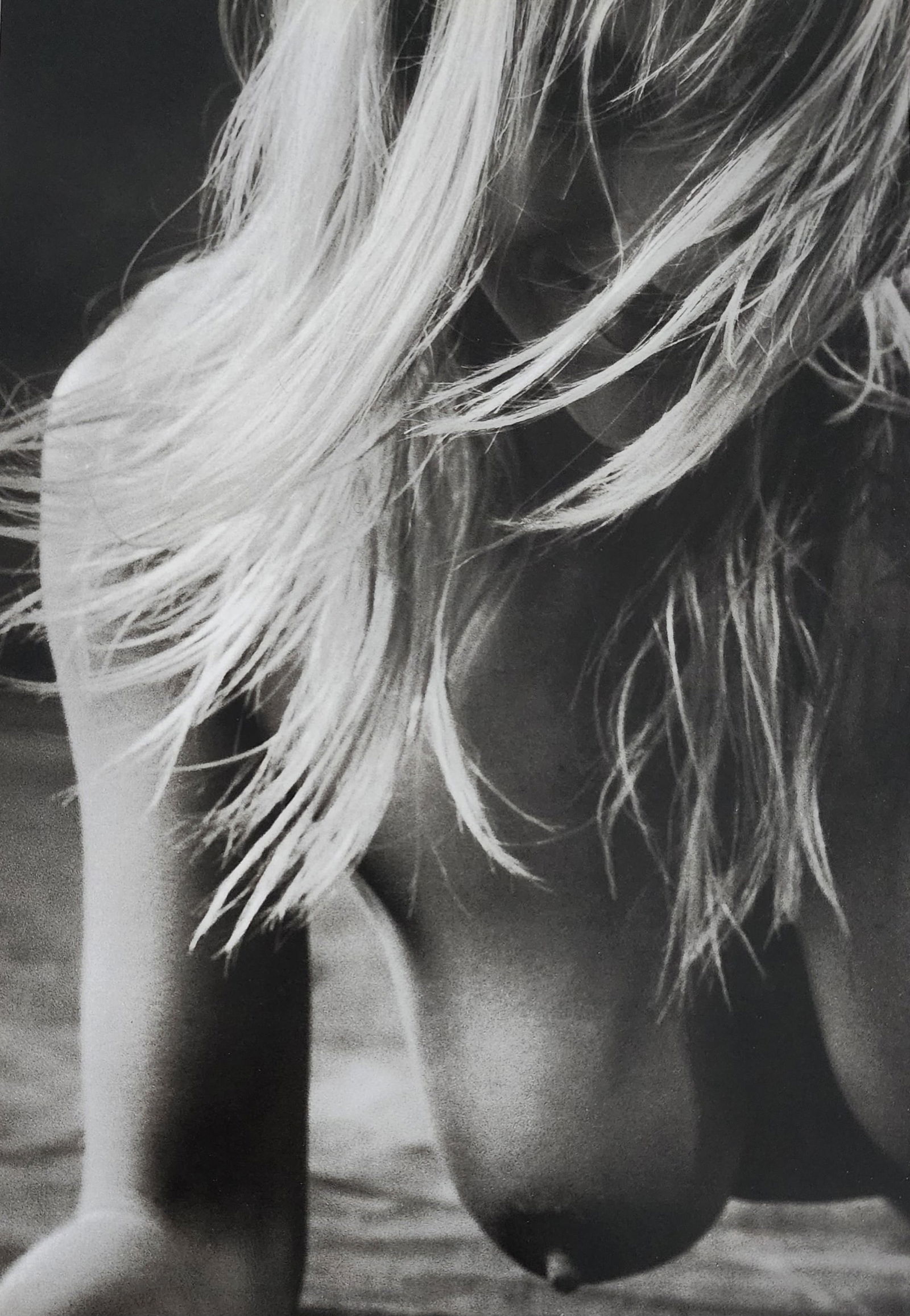 Brono Bisang, Monochrome Nudes, 1999 (1 of 1)