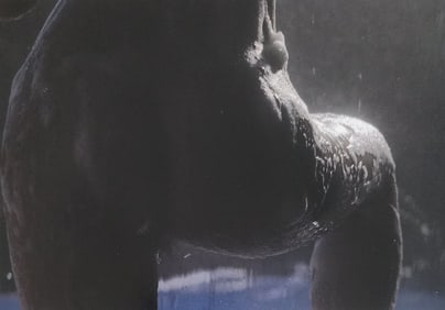 Nippon Geijutsu, Naturaly Beautiful, 1994