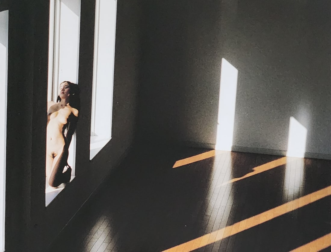 Nippon Geijutsu, Naturaly Beautiful, 1994 (1 of 1)