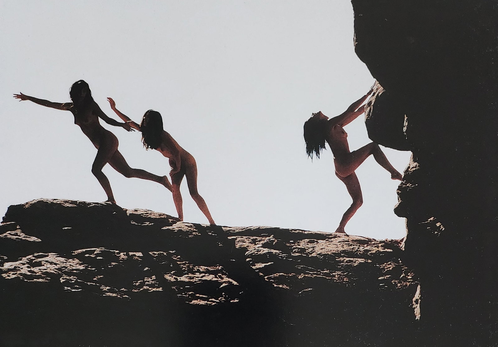 Nippon Geijutsu, Naturaly Beautiful, 1994 (1 of 1)