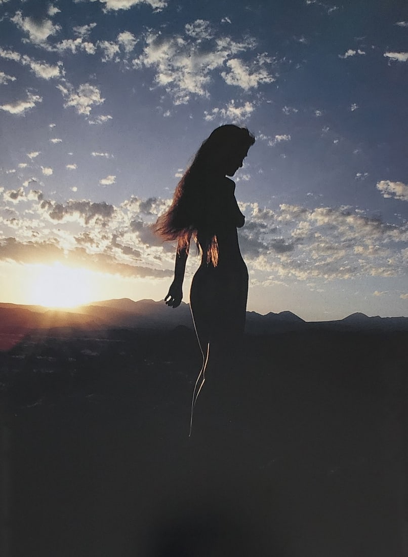 Nippon Geijutsu, Naturaly Beautiful, 1994 (1 of 1)