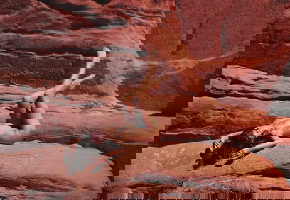 Nippon Geijutsu, Naturaly Beautiful, 1994