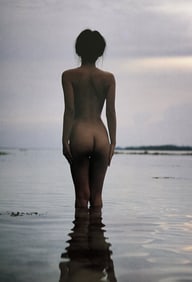 Nippon Geijutsu, Naturaly Beautiful, 1994