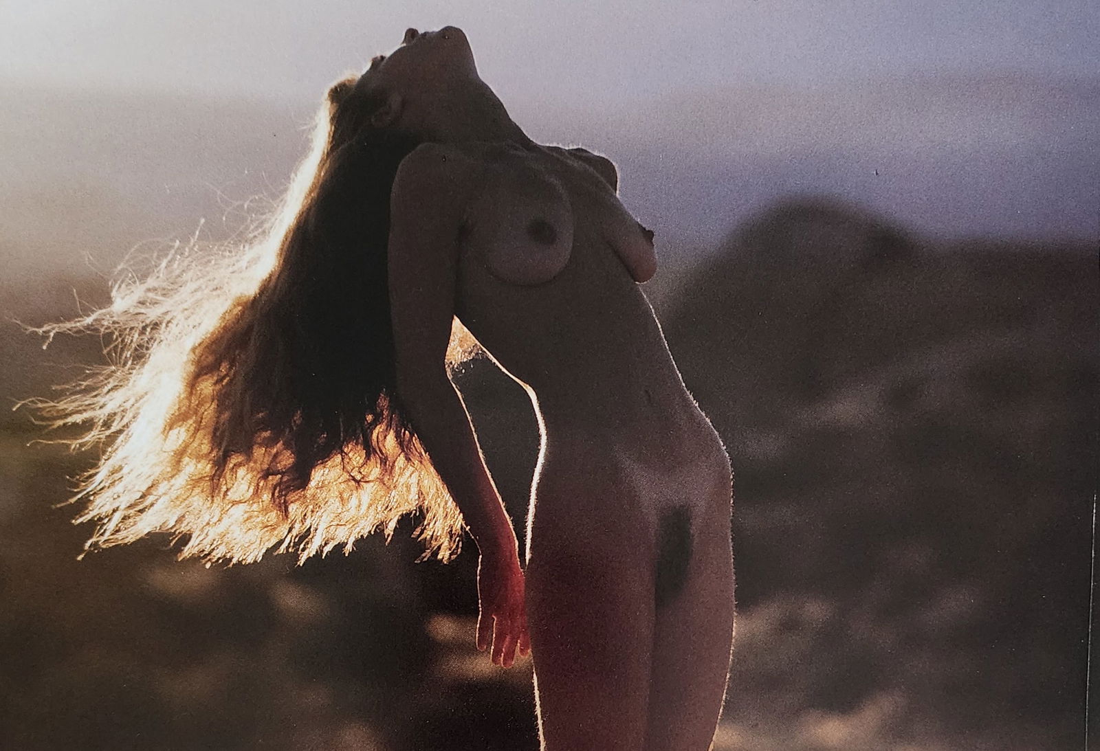 Nippon Geijutsu, Naturaly Beautiful, 1994 (1 of 1)