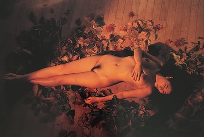 Nippon Geijutsu, Naturaly Beautiful, 1994