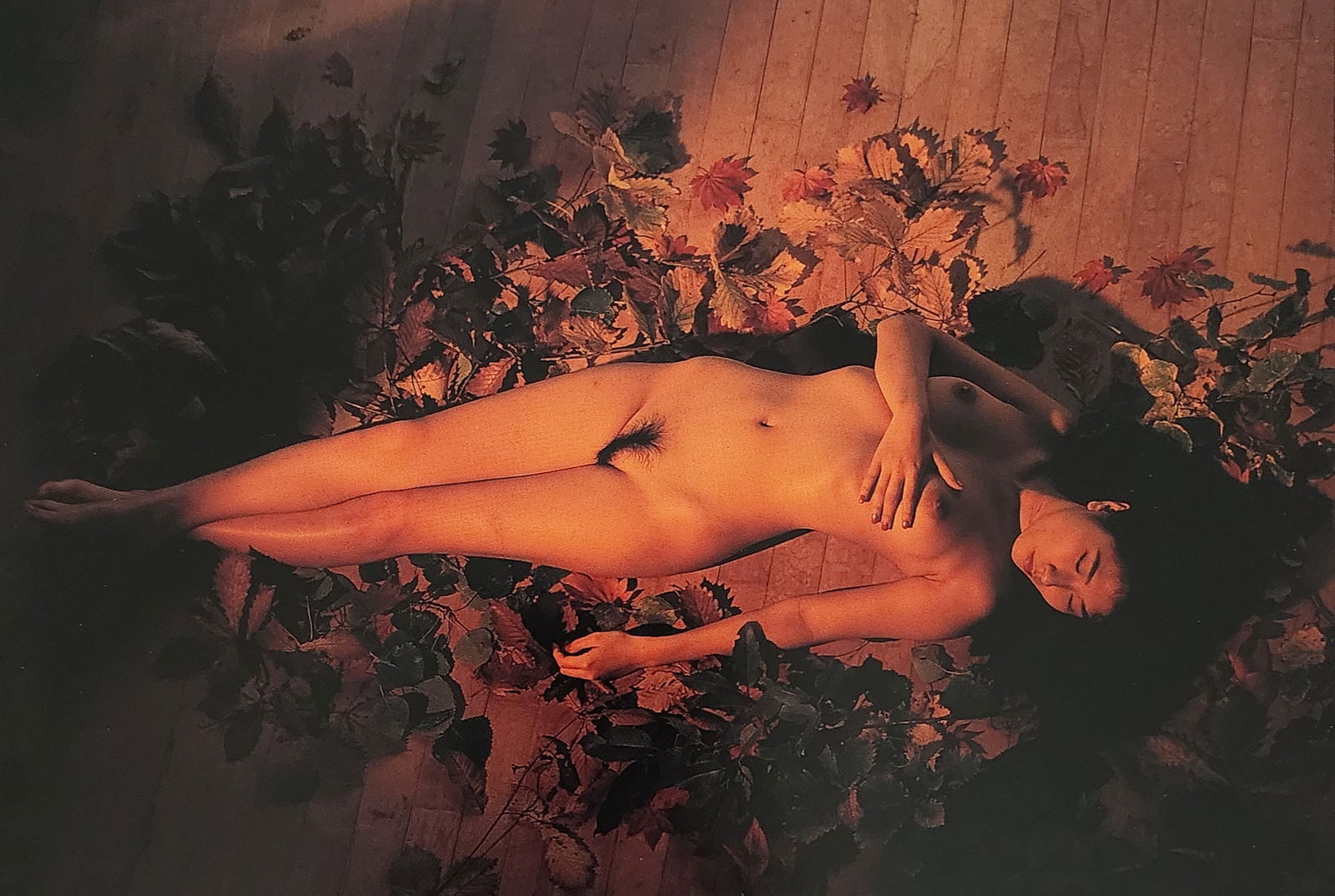 Nippon Geijutsu, Naturaly Beautiful, 1994 (1 of 1)