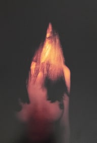 Nippon Geijutsu, Naturaly Beautiful, 1994