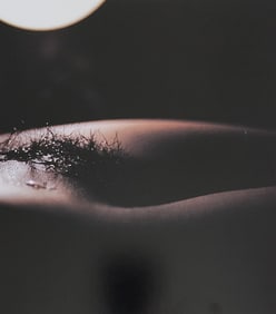 Nippon Geijutsu, Naturaly Beautiful, 1994