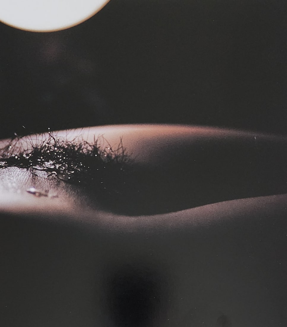 Nippon Geijutsu, Naturaly Beautiful, 1994 (1 of 1)