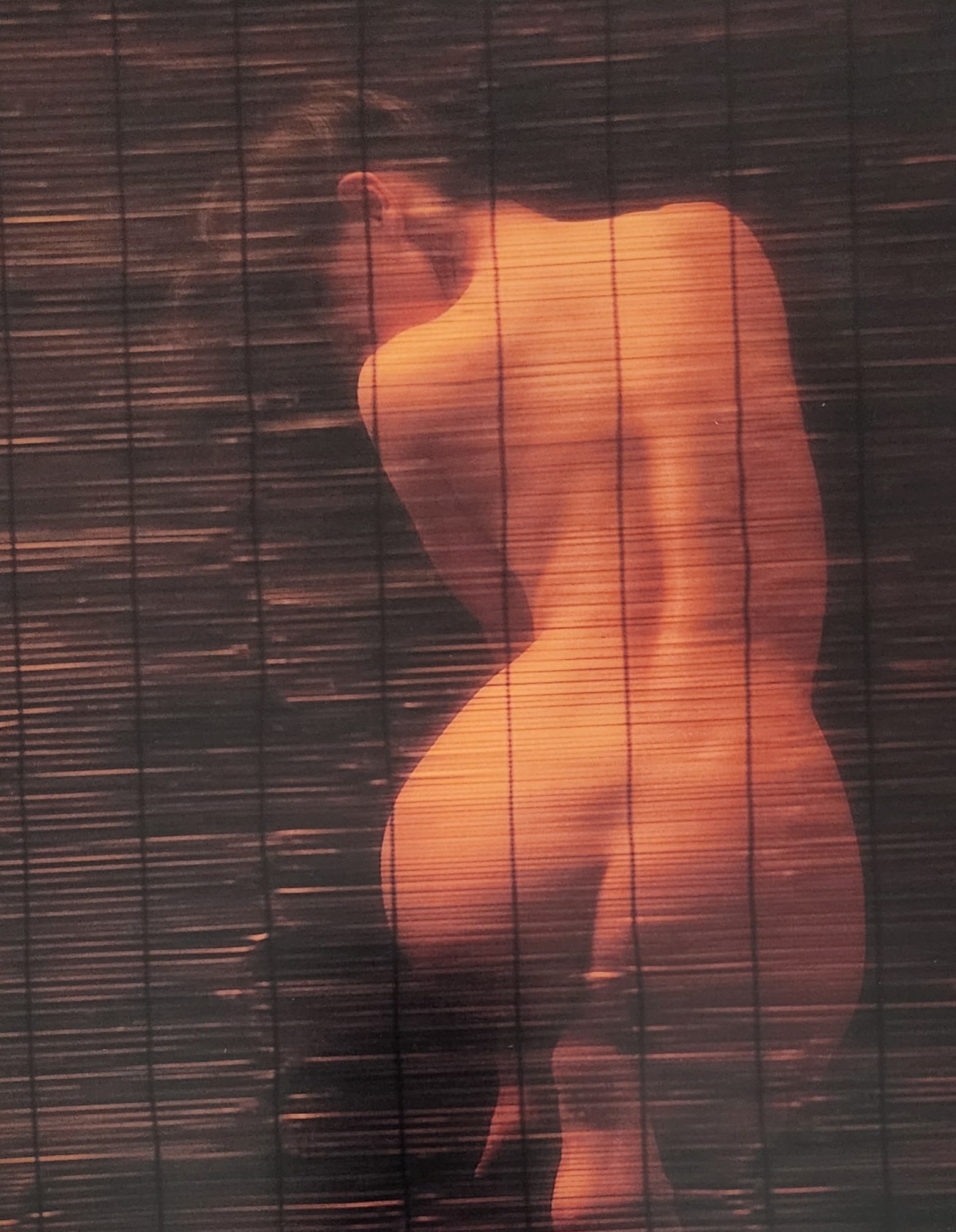 Nippon Geijutsu, Naturaly Beautiful, 1994 (1 of 1)