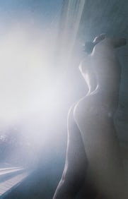 Nippon Geijutsu, Naturaly Beautiful, 1994