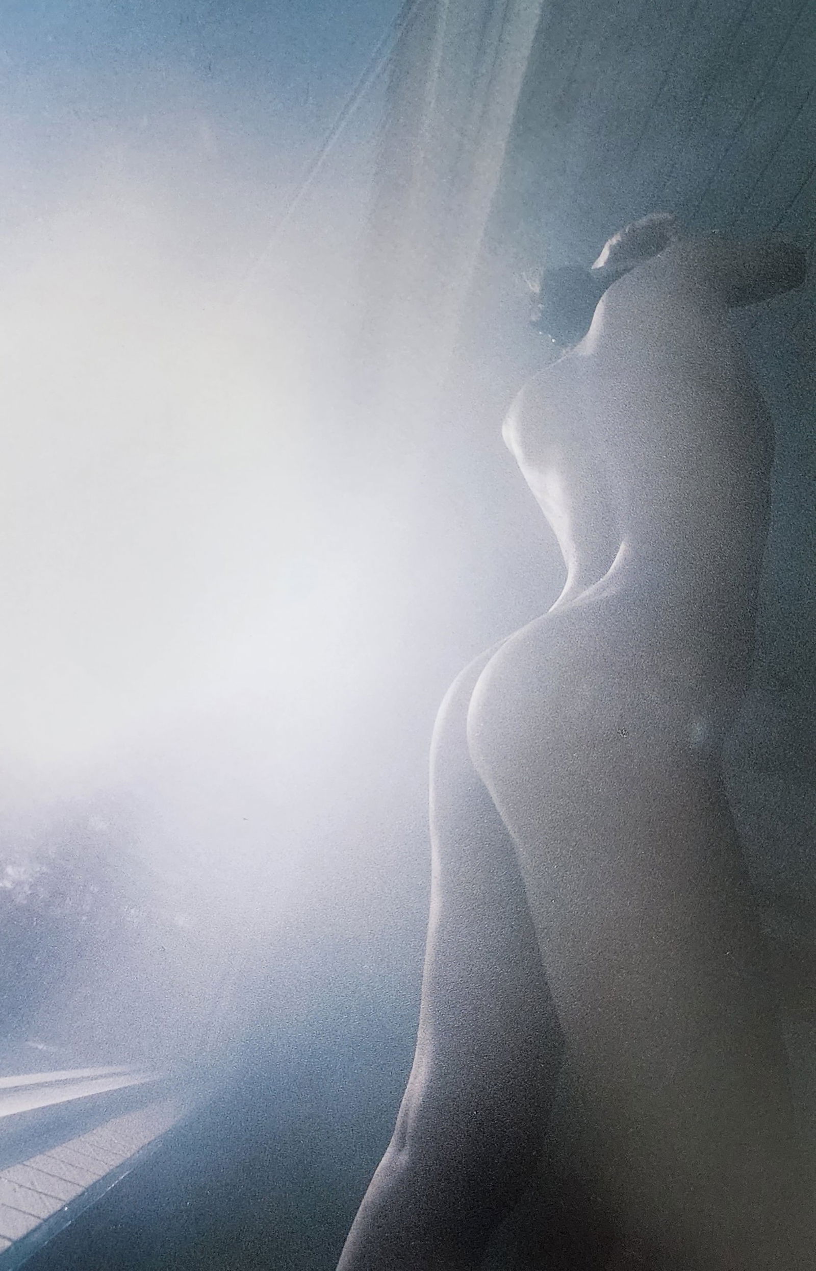 Nippon Geijutsu, Naturaly Beautiful, 1994 (1 of 1)