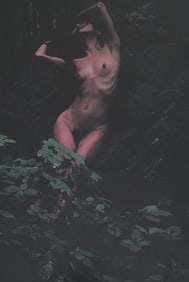 Nippon Geijutsu, Naturaly Beautiful, 1994