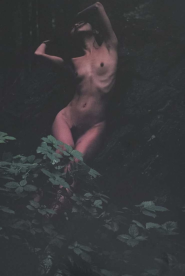 Nippon Geijutsu, Naturaly Beautiful, 1994 (1 of 1)