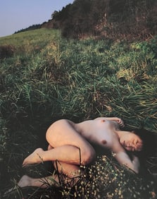 Nippon Geijutsu, Naturaly Beautiful, 1994