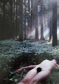 Nippon Geijutsu, Naturaly Beautiful, 1994