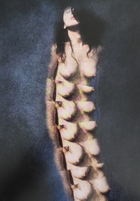 Nippon Geijutsu, Naturaly Beautiful, 1994