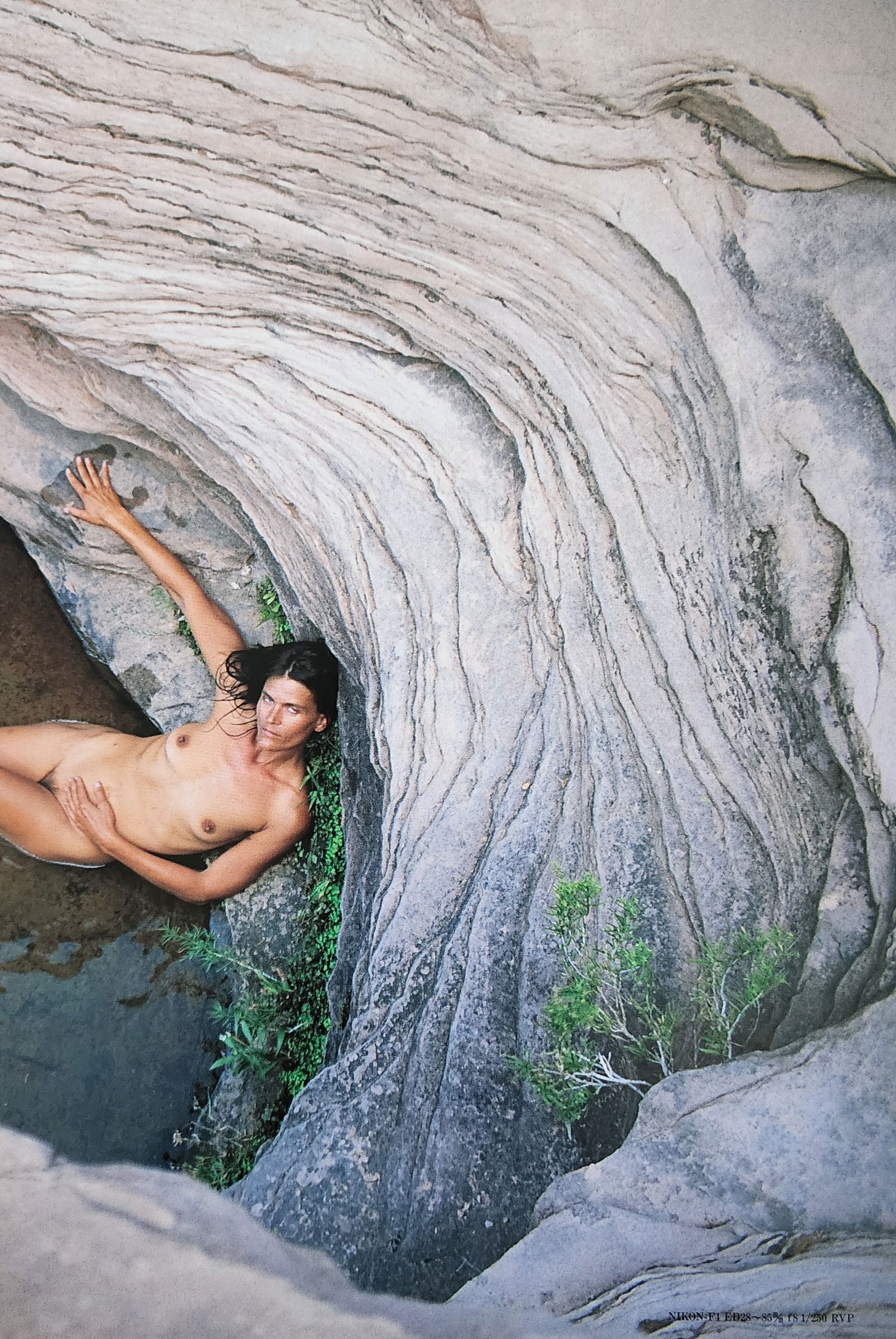 Nippon Geijutsu, Naturaly Beautiful, 1994 (1 of 1)