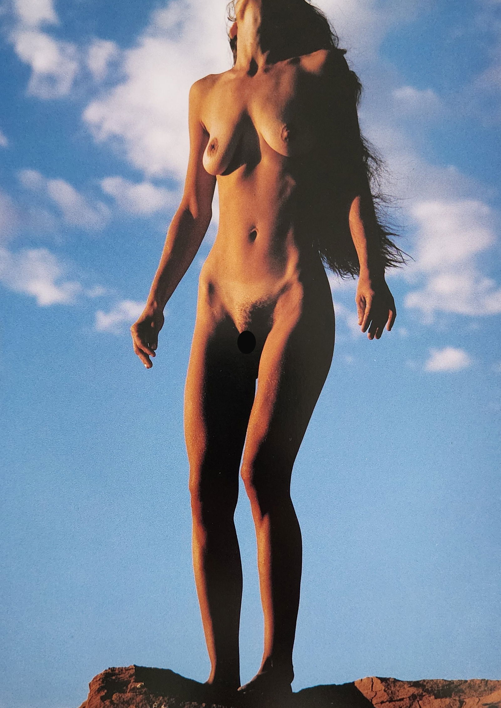 Nippon Geijutsu, Naturaly Beautiful, 1994 (1 of 1)