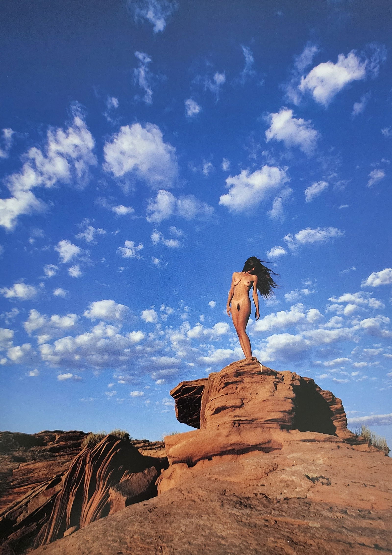 Nippon Geijutsu, Naturaly Beautiful, 1994 (1 of 1)