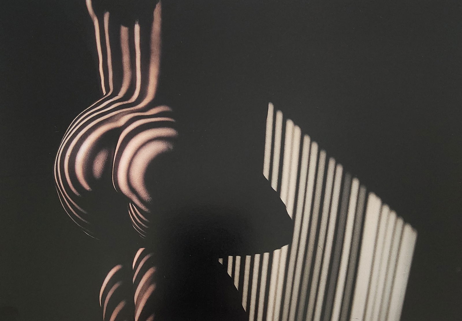 Nippon Geijutsu, Naturaly Beautiful, 1994 (1 of 1)