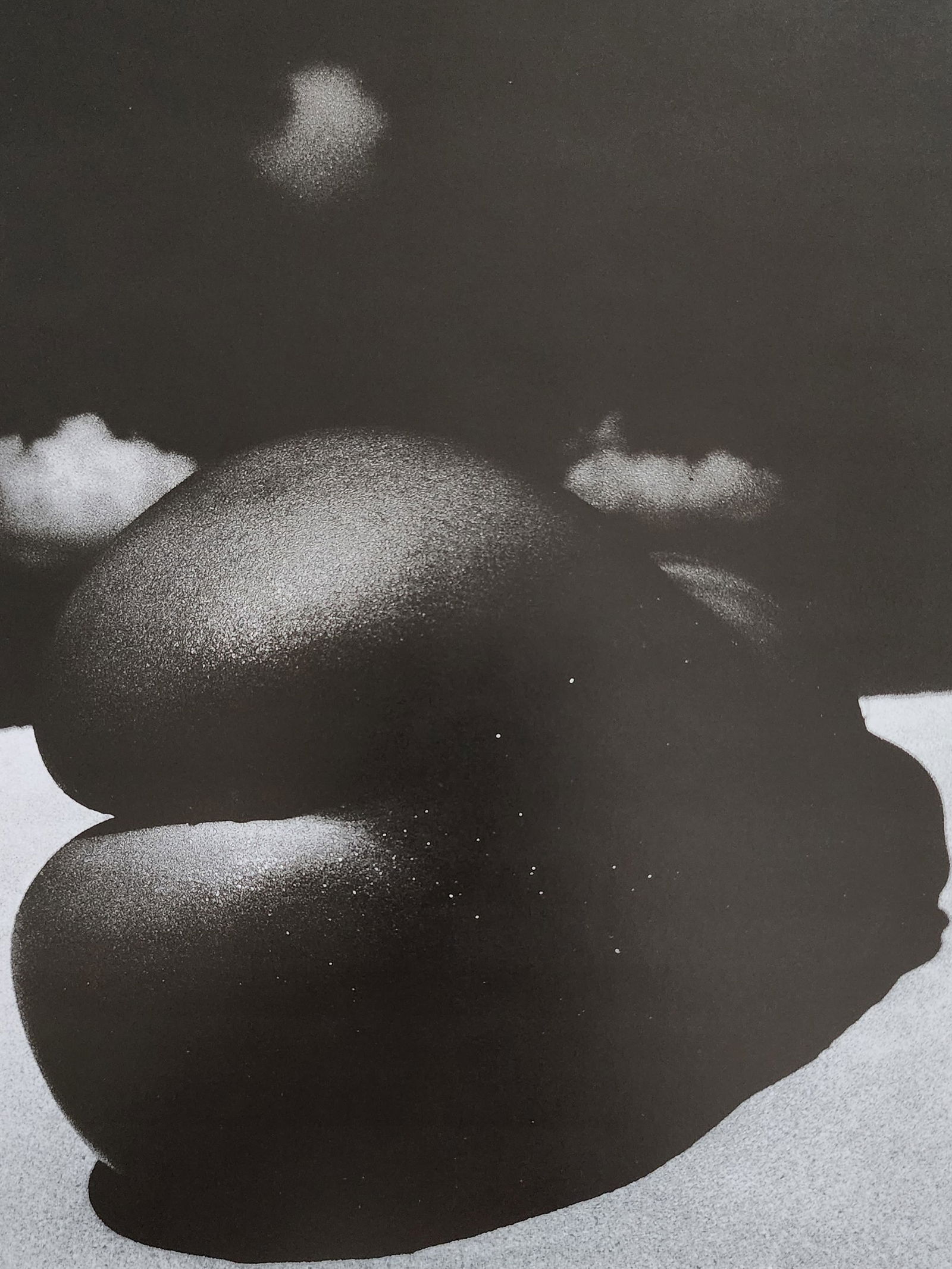 Nippon Geijutsu, Naturaly Beautiful, 1994 (1 of 1)