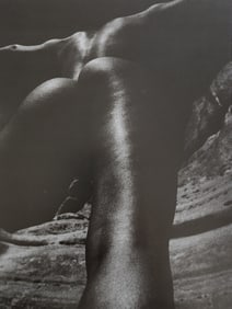 Nippon Geijutsu, Naturaly Beautiful, 1994