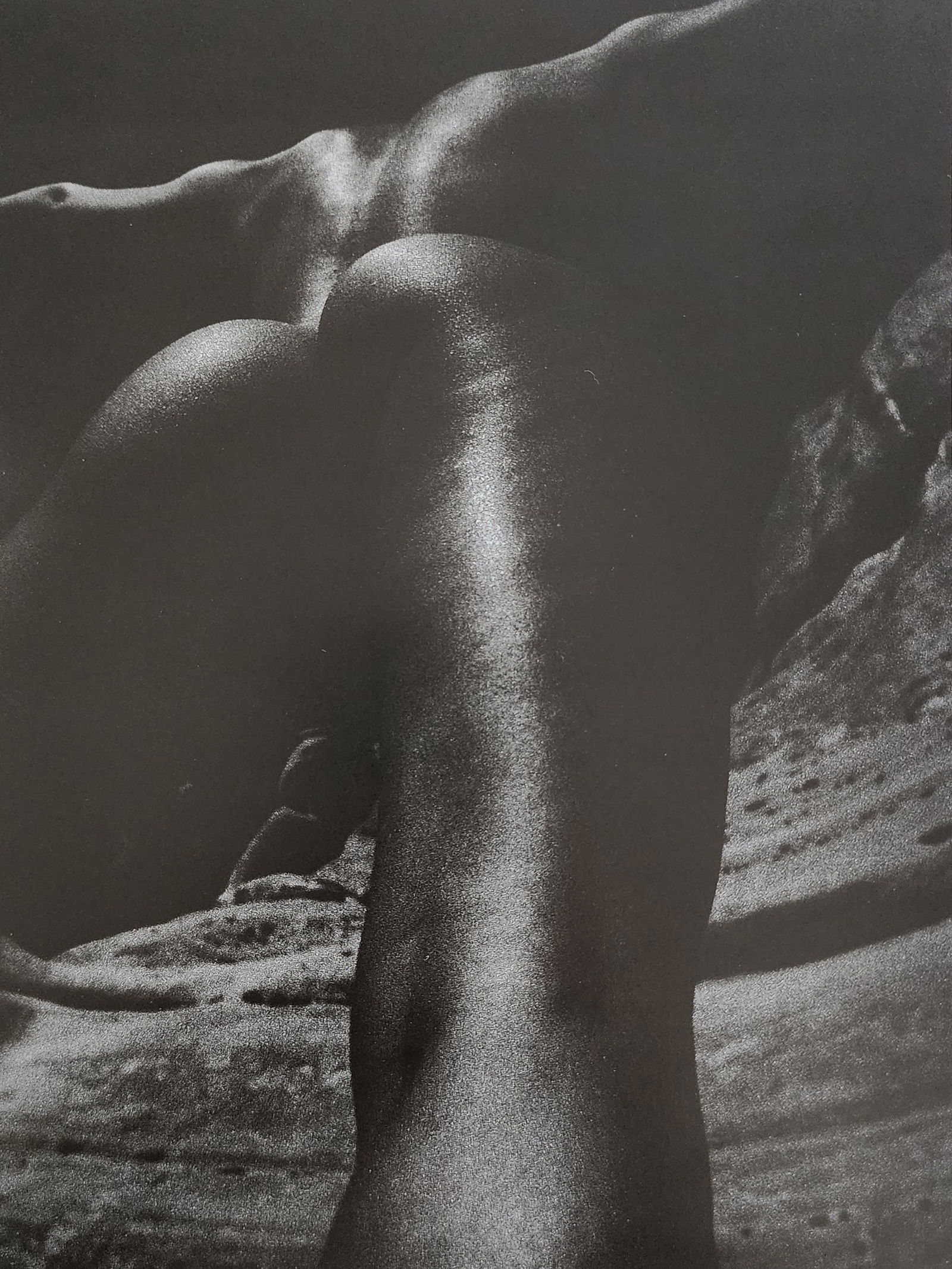 Nippon Geijutsu, Naturaly Beautiful, 1994 (1 of 1)