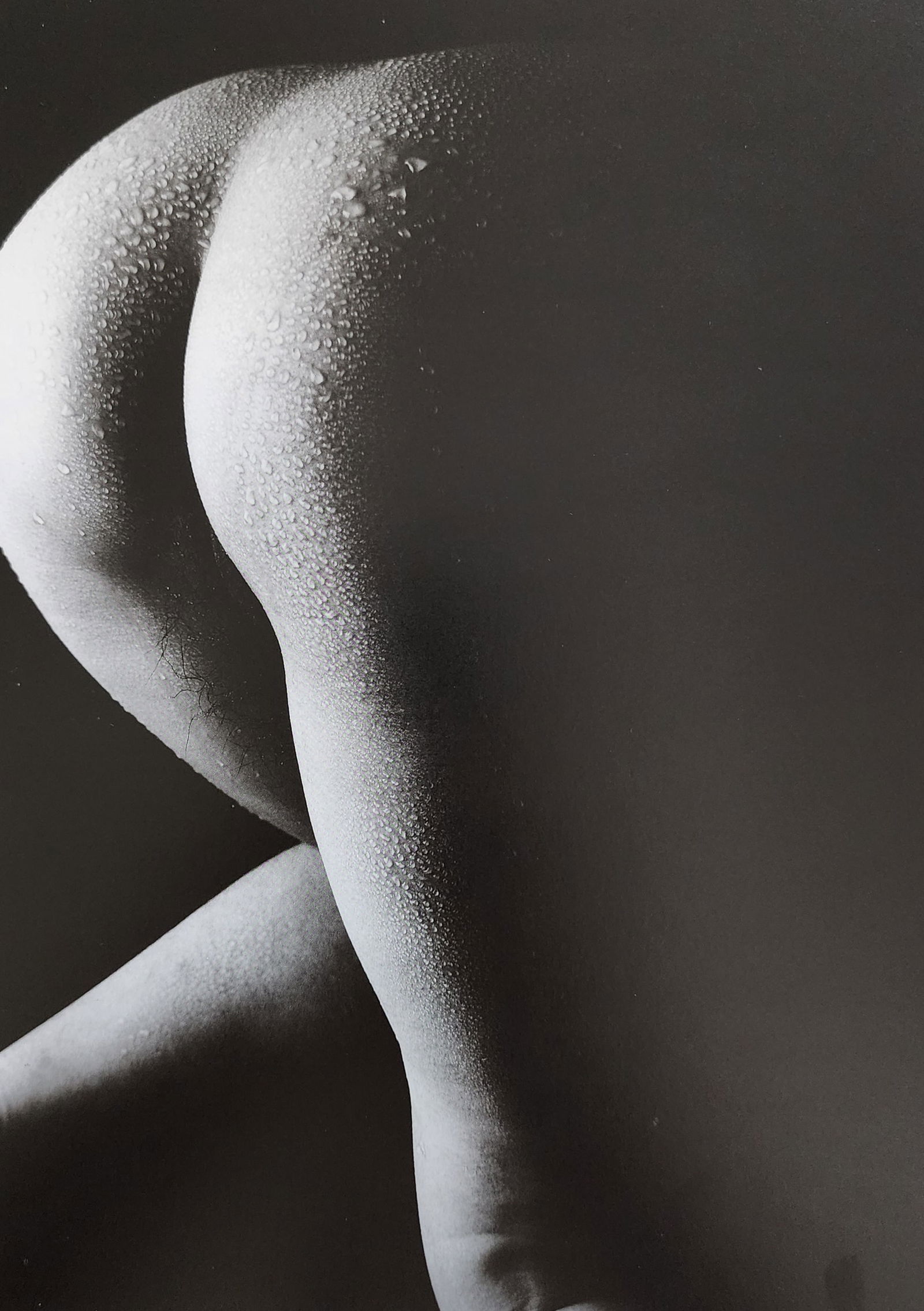 Nippon Geijutsu, Naturaly Beautiful, 1994 (1 of 1)