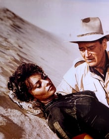 Sophia Loren, Movie Star Italian Style, 2017