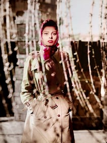 Sophia Loren, Movie Star Italian Style, 2017