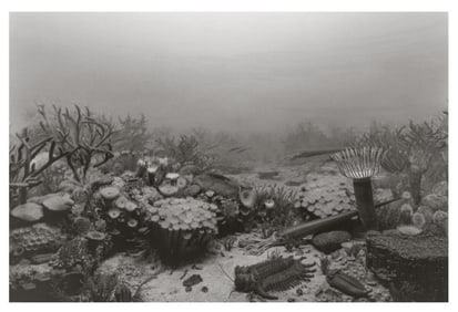 Hiroshi Sugimoto, Devonian Period, 1992, Limited Edition Of 360