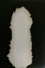 Hiroshi Sugimoto, In Praise of shadows, 980819