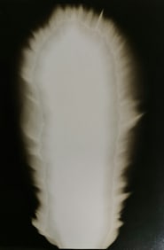 Hiroshi Sugimoto, In Praise of shadows, 980811