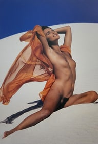 Herbert W. Hesselman 'Erotica' 2006