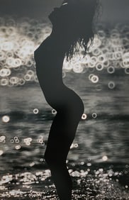 Herbert W. Hesselman 'Erotica' 2006