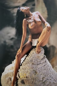 Herbert W. Hesselman 'Erotica' 2006