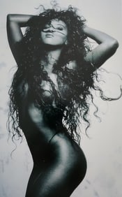 Herbert W. Hesselman 'Erotica' 2006