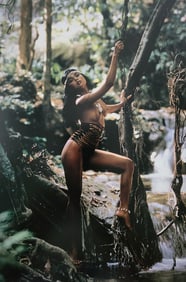 Herbert W. Hesselman 'Erotica' 2006